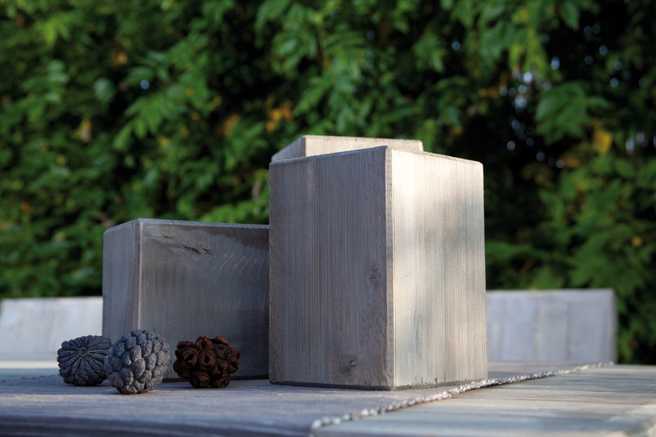 AnteNeo