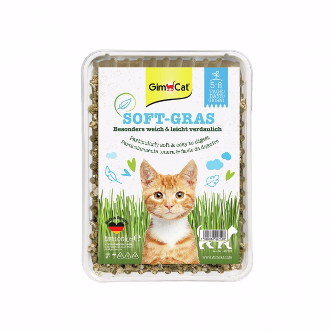 Soft-Gras für Katzen