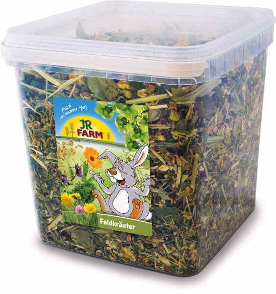 Feldkräuter für Nager und Zwergkaninchen