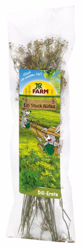 Ein Stück Natur Dill-Ernte