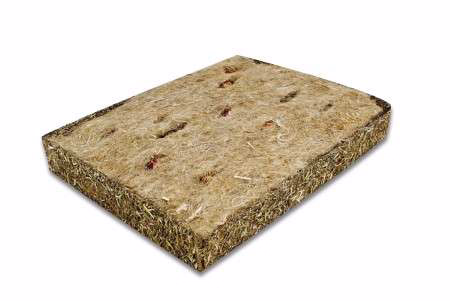 Aktiv-Teppich für Nager und Zwergkaninchen