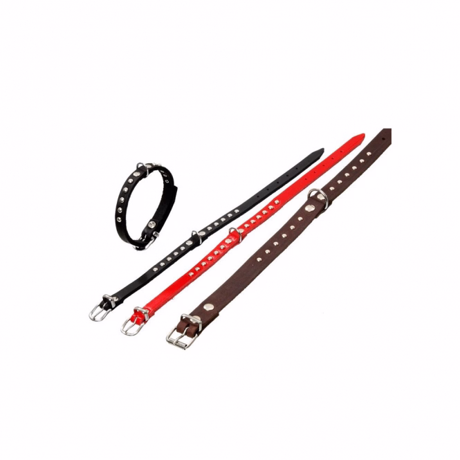 RONDO Lederhalsband mit Ziernieten